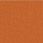 Caravita Acryl Pro Nature Apricot